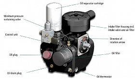 Винтовой компрессор Kraftmann VEGA 31 CF 7,5 — фото 3